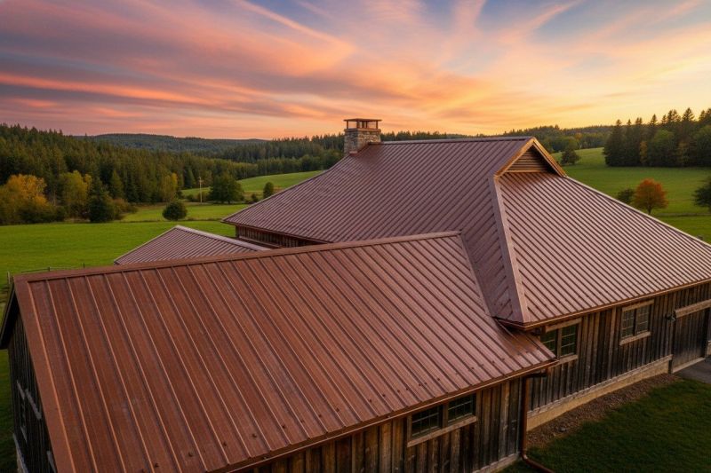 Copper Roof Replacement in Alexandria, VA