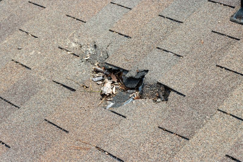 Shingles Replacement in Worcester, MA