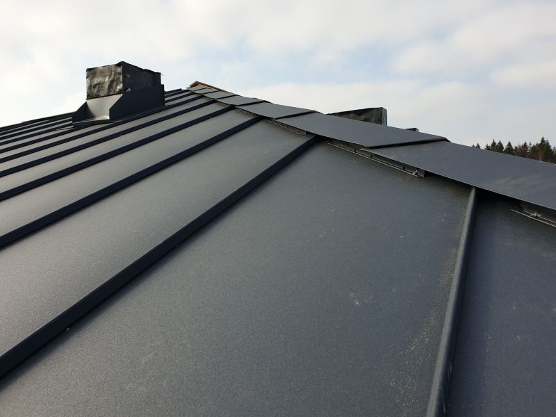 Increase Your Aluminum Roof Waterproofing Business with an AI Driven, Targeted Website